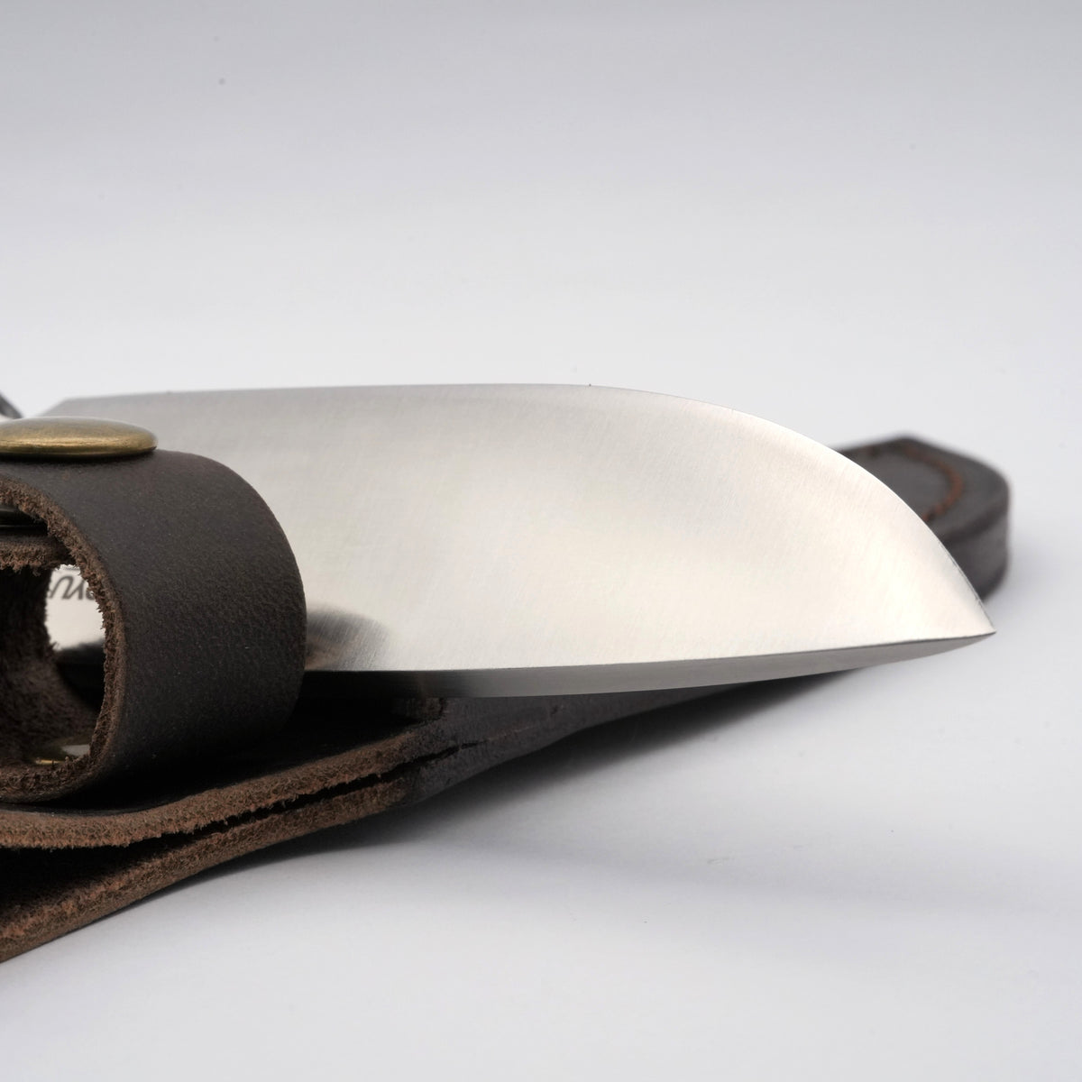 Talon™ Knife with Leather Sheath